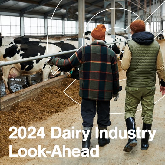 2024 Industry Report