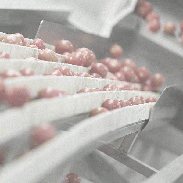 Food on conveyor belt