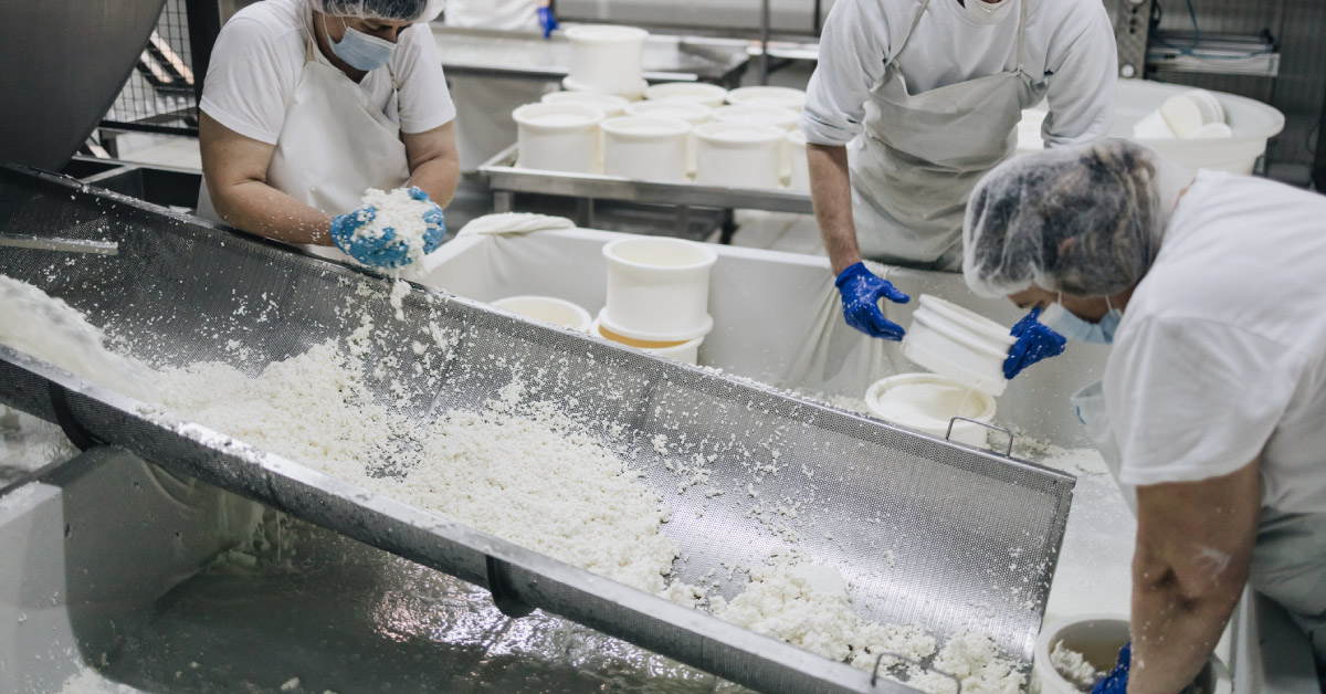cheese plant workers