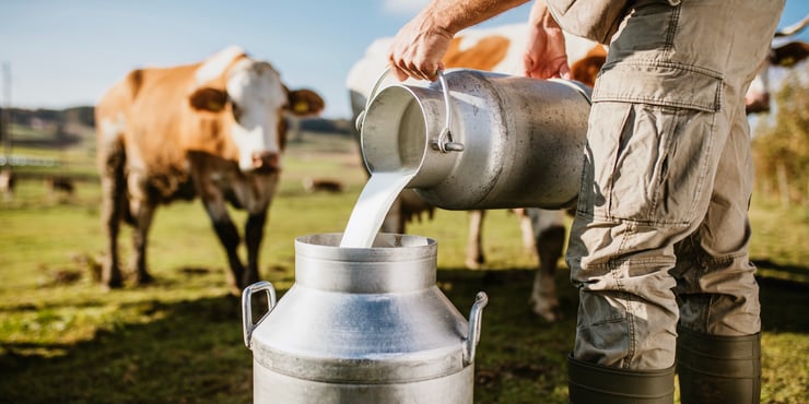 Milk and cream dairy plant